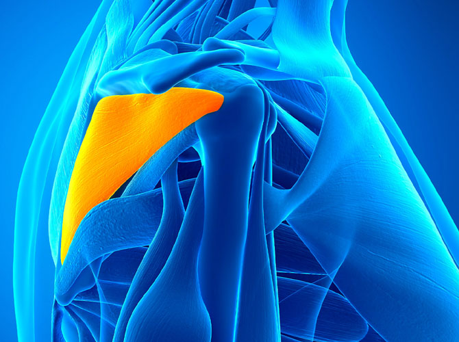 Rotator Cuff Repair